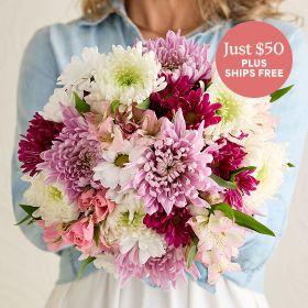 Header navigation sub menu